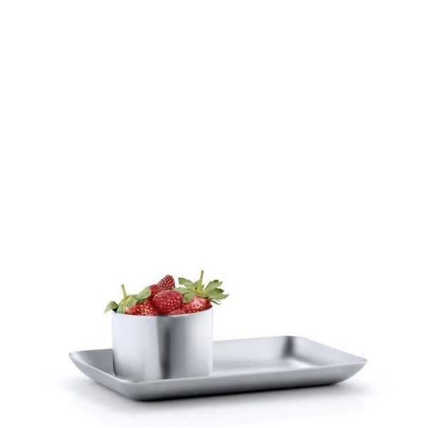 Stainless Steel Tray 10x17 cm/4x7 inches