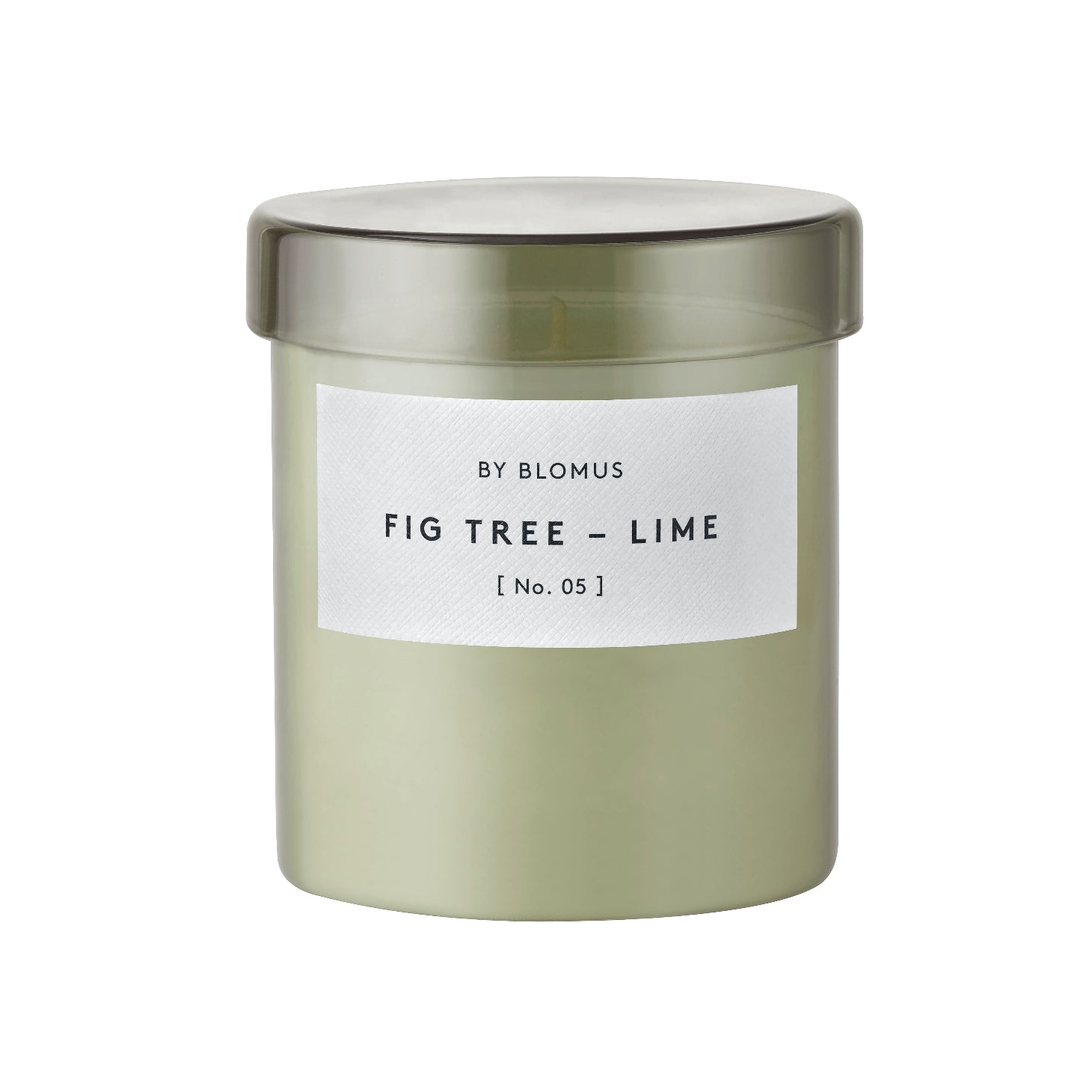 65296 VALOA Fig Tree + Lime Large